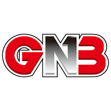 Аккумуляторы Li-Po GNB