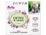Картина по номерам 30х30 Голубоглазое чудо (20 цветов)