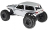Краулер Axial 1/10 Wraith Spawn 4WD Rock Racer Brushed RTR (белый) (AX90045)