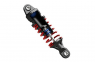 Traxxas E-Revo VXL Brushless 4WD