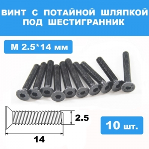 Винты М2.5*14мм (10шт) с потайной шляпкой под шестигранник