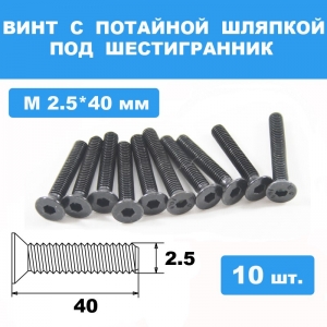 Винты М2.5*40мм (10шт) с потайной шляпкой под шестигранник