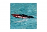 ProBoat Impulse 9