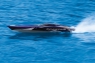 Traxxas Spartan Brushless (Bluetooth Module) + NEW Fast Charger