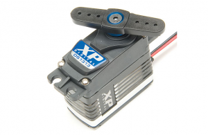 Associated DS1313 XP Digital