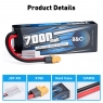Аккумулятор LiPo B&C - 7,4V 7000МАЧ 50C (2S, HardCase, XT60)