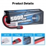 Аккумулятор LiPo B&C - 14.8v 5000мАч 50C (4S, Hardcase, разъём T-Plug)