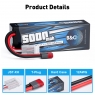 Аккумулятор LiPo B&C - 11.1v 5000мАч 50C (3S, Hardcase, разъём T-Plug)