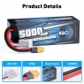 Аккумулятор LiPo B&C - 14.8v 5000мАч 50C (4S, Hardcase, разъём XT60)