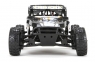 Модель багги ECX Desert Buggy Roost 4WD (черно-оранжевый)