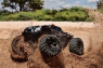 Модель внедорожника Traxxas X-MAXX 4WD 8S TSM