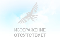 Ремешок PGYTECH для пульта DJI MAVIC AIR P-UN-004