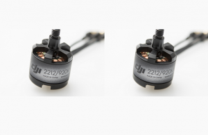 DJI Моторы E300 920Kv CCW/CW, 2шт