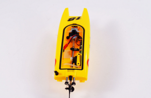 Joysway Magic Cat MK2 2.4Ghz