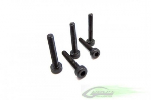 HC018-S Болт под шестигранник М2.5*6 (8 шт)