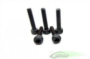 HC020-S Болт под шестигранник M2.5x10mm (8шт)