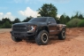 Ford F-150 1:10 2WD