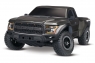 Ford F-150 1:10 2WD