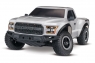Ford F-150 1:10 2WD