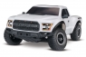 Ford F-150 1:10 2WD