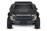 Ford F-150 1:10 2WD