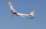 Планер E-Flite UMX Radian AS3X BNF