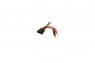 TRX ID Charging cable 16awg 150mm 4S