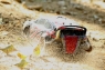 A949 1:18 Rally Car 2.4GHz 4x4