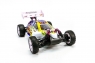1:10 EP 4WD Off Road Buggy (Brushed, Ni-Mh)