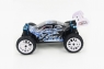 1:16 EP 4WD Off Road Buggy (Brushed, Ni-Mh)