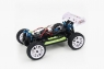 1:16 EP 4WD Off Road Buggy (Brushed, Ni-Mh)