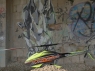 Goblin Black Thunder 700 Green/Carbon (With ThunderBolt Main And Tail Blades)