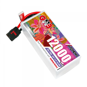 Аккумулятор GNB LiPo 12000MAH 6S1P 22.2V 70С/140C XT60U SoftCase